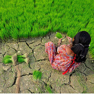 A woman sitting in an agricultural field with cracked, dry earth.