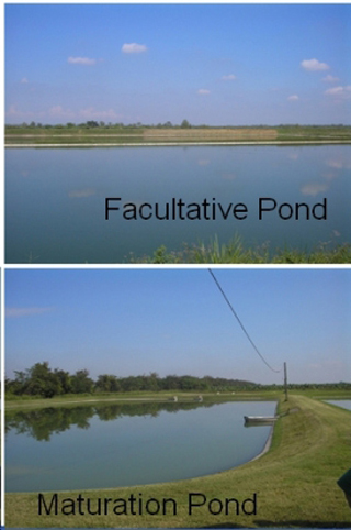 Two water treatment ponds.