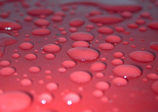 Water beading on a waxed surface.