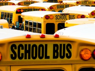 A large number of parked schoolbuses