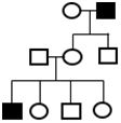 gensession3_quizzes.gif