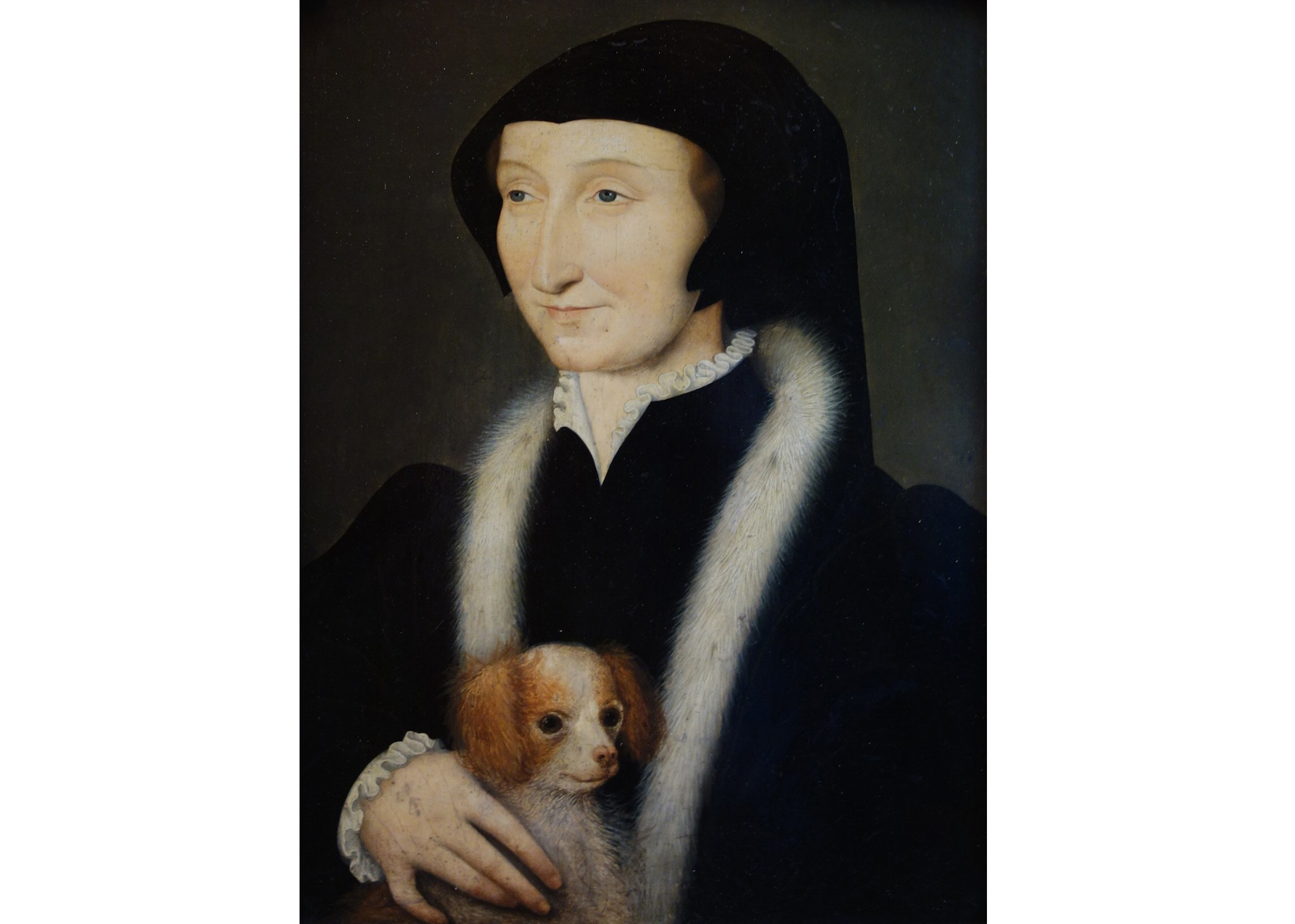 A sixteenth-century older woman dressed in a black dress with an ermine collared coat and black and headdress holding a small lapdog.