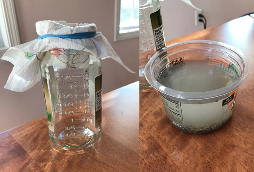 Left, a glass jar whose opening is covered by a paper towel kept in place with a rubber band. Right, a plastic tub with murky liquid and contaminants.